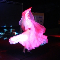 Show Feira Shopping - Toledo-PR 