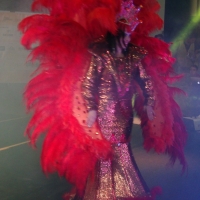 Show Feira Shopping - Toledo-PR 